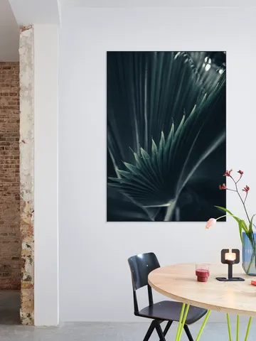 Palm Shade 1