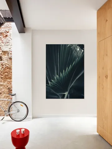 Palm Shade 1