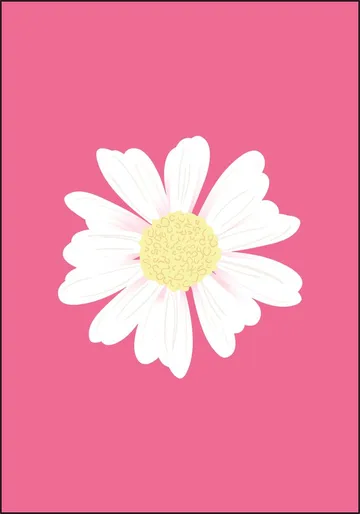 Spring Daisy Pink