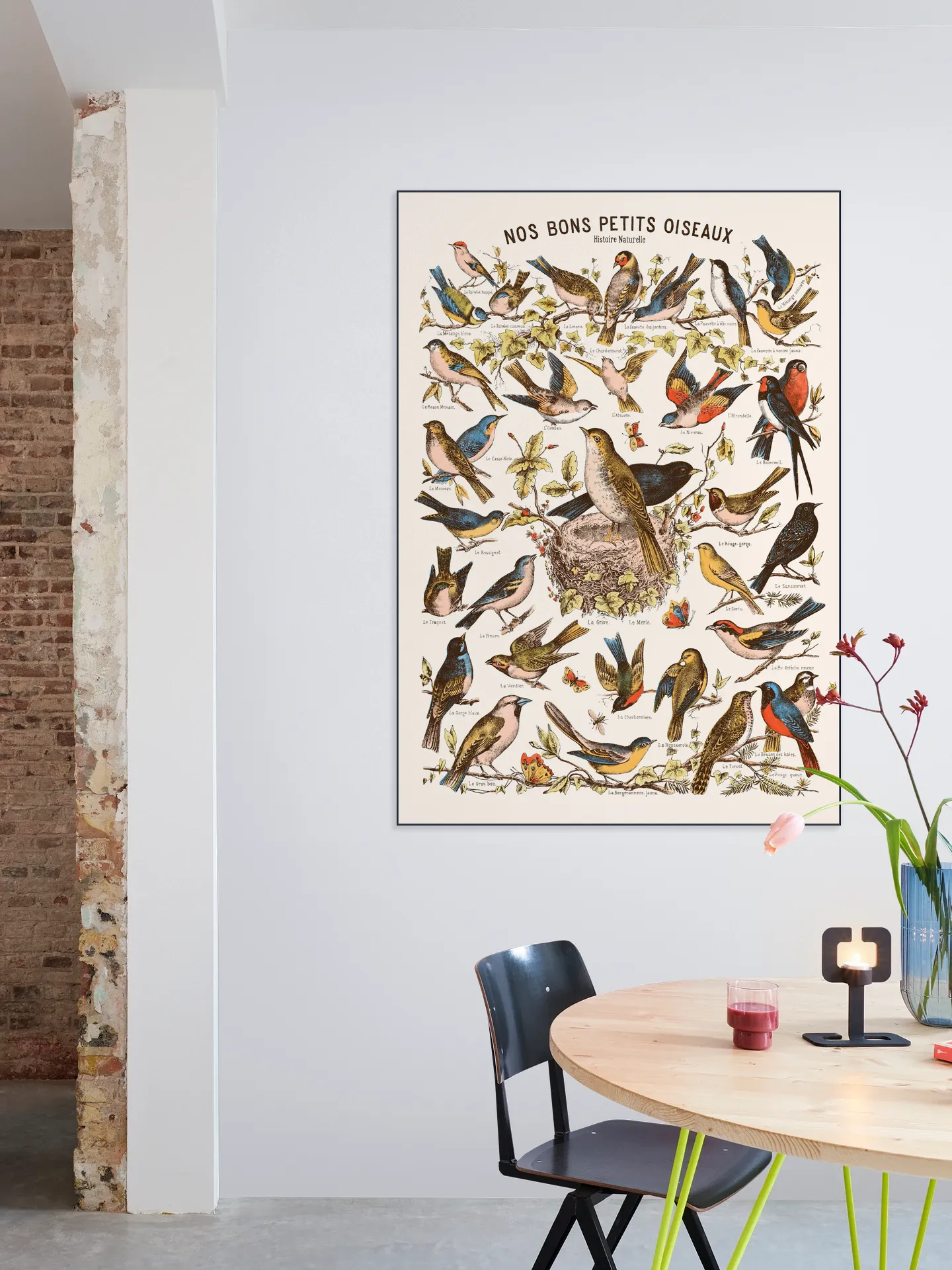 Nos bons Petits Oiseaux