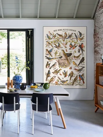 Nos bons Petits Oiseaux