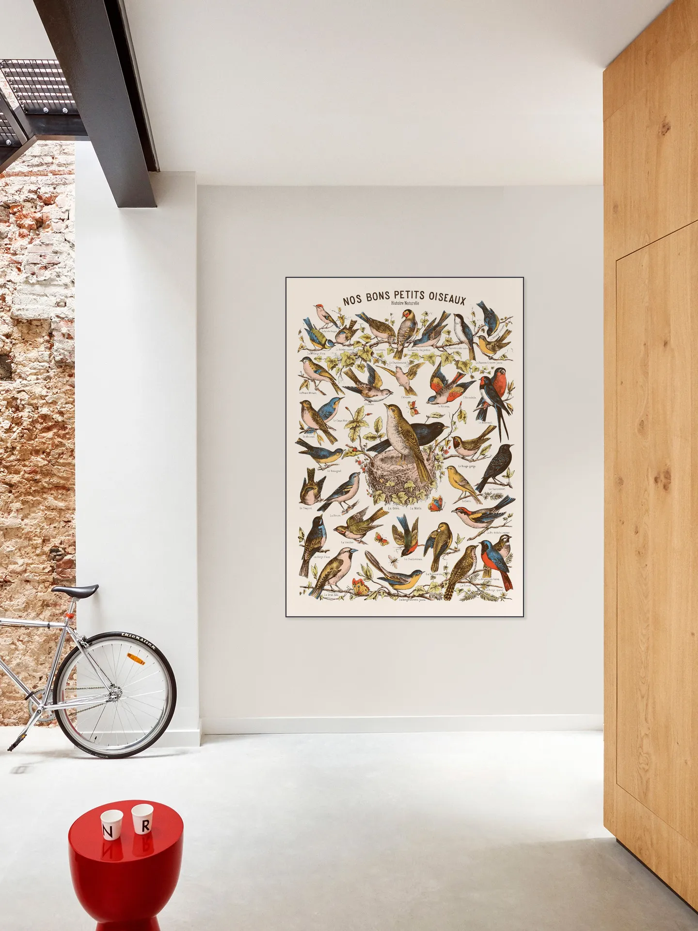 Nos bons Petits Oiseaux