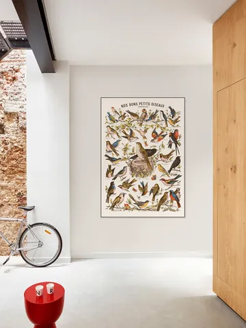 Nos bons Petits Oiseaux