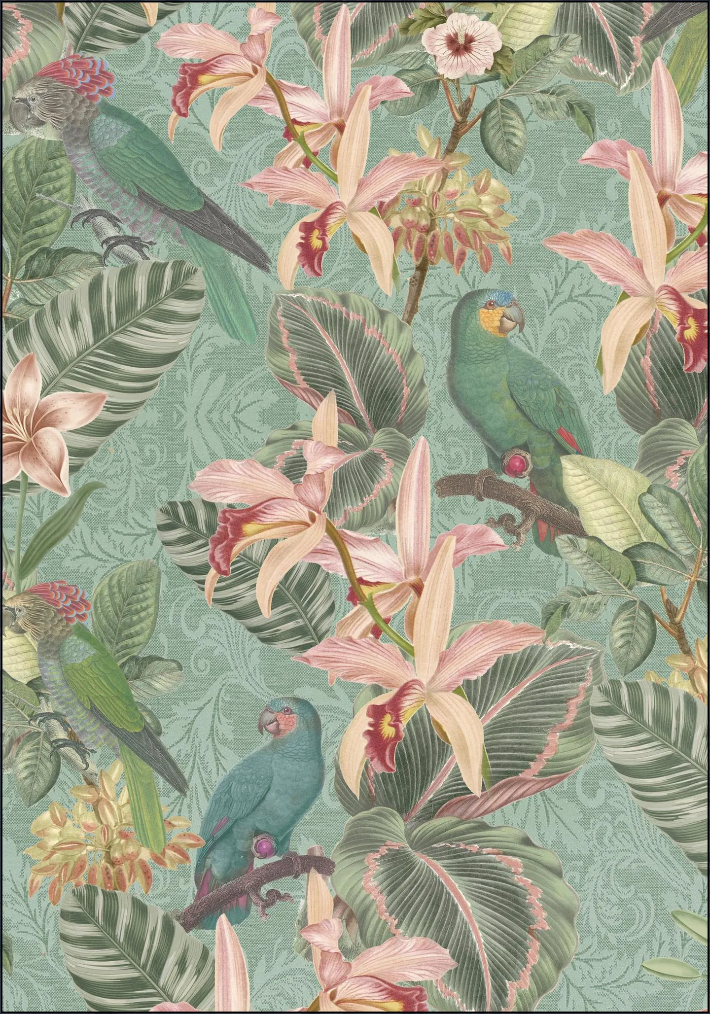 Tropical Jungle Birds