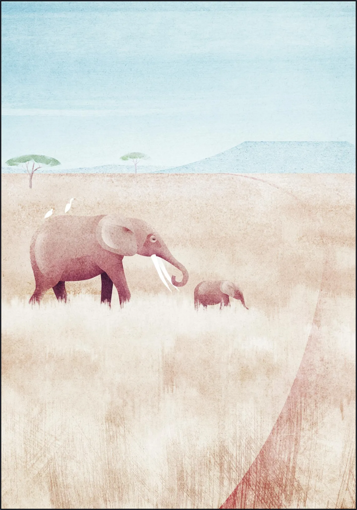 The Elephants