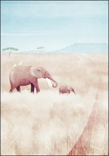 The Elephants