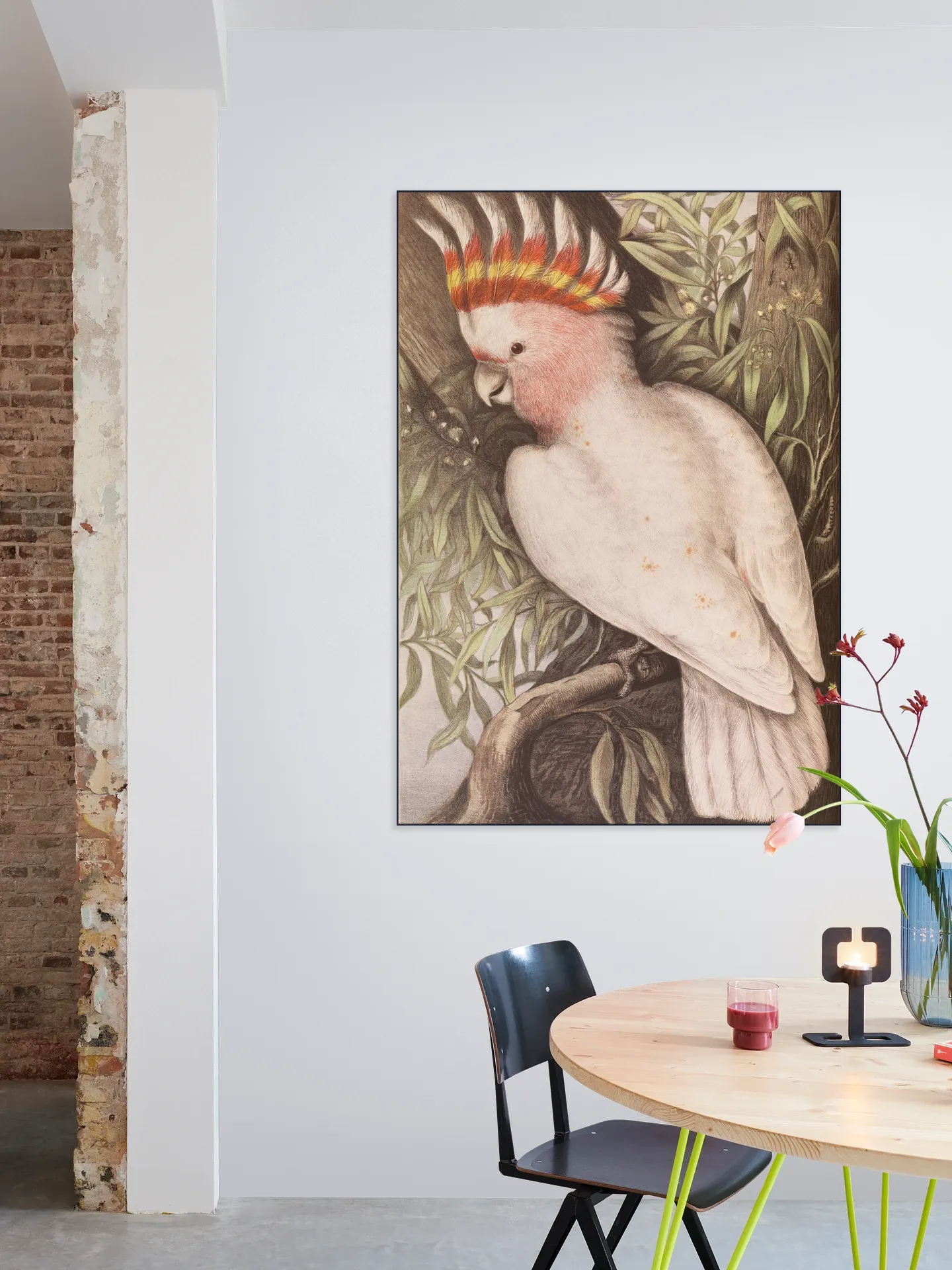 Cockatoo