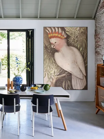 Cockatoo