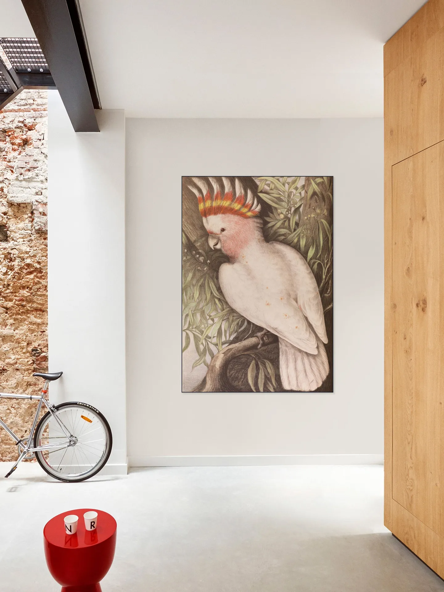 Cockatoo