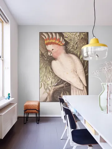 Cockatoo