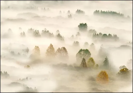 Autumn Dream III