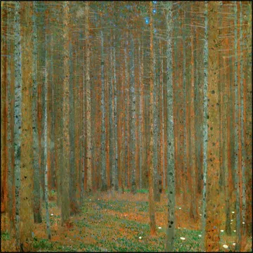 Fir Forest I