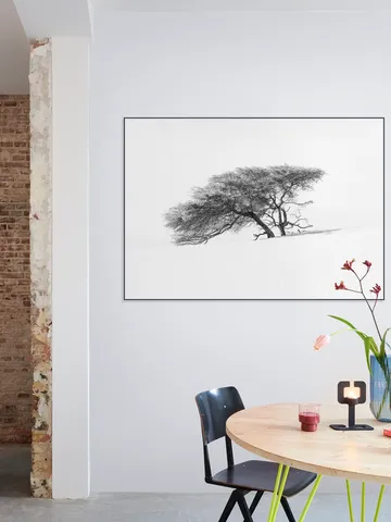 Tree in Sahara Desert
