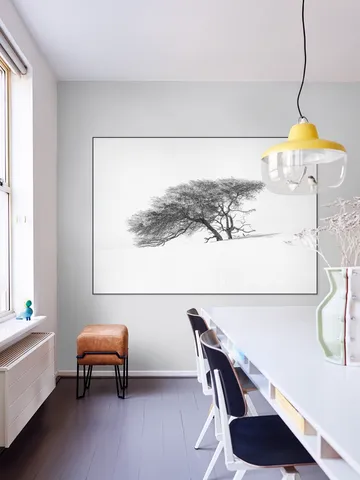 Tree in Sahara Desert
