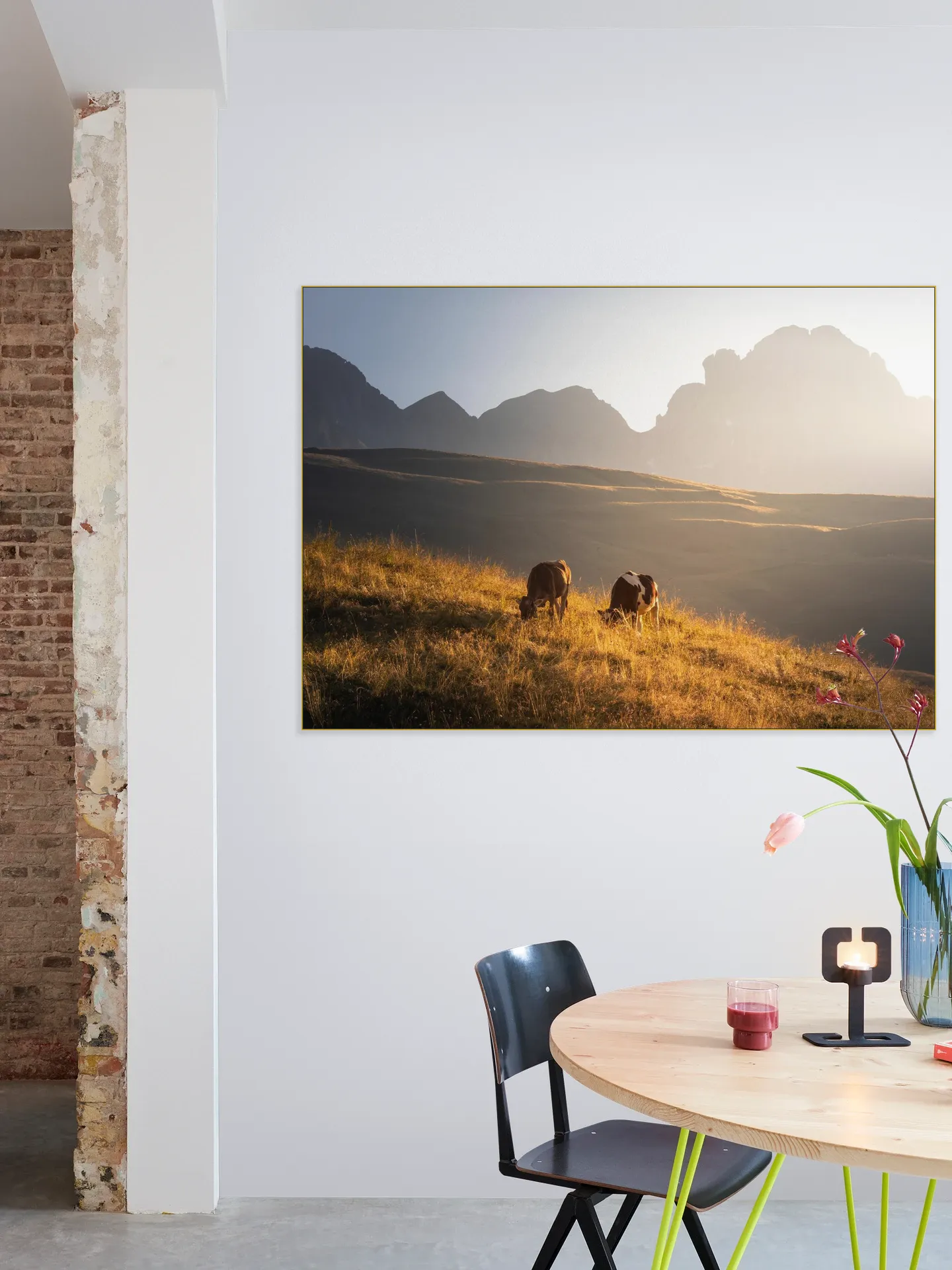 Trentino Cows in the Dolomites 