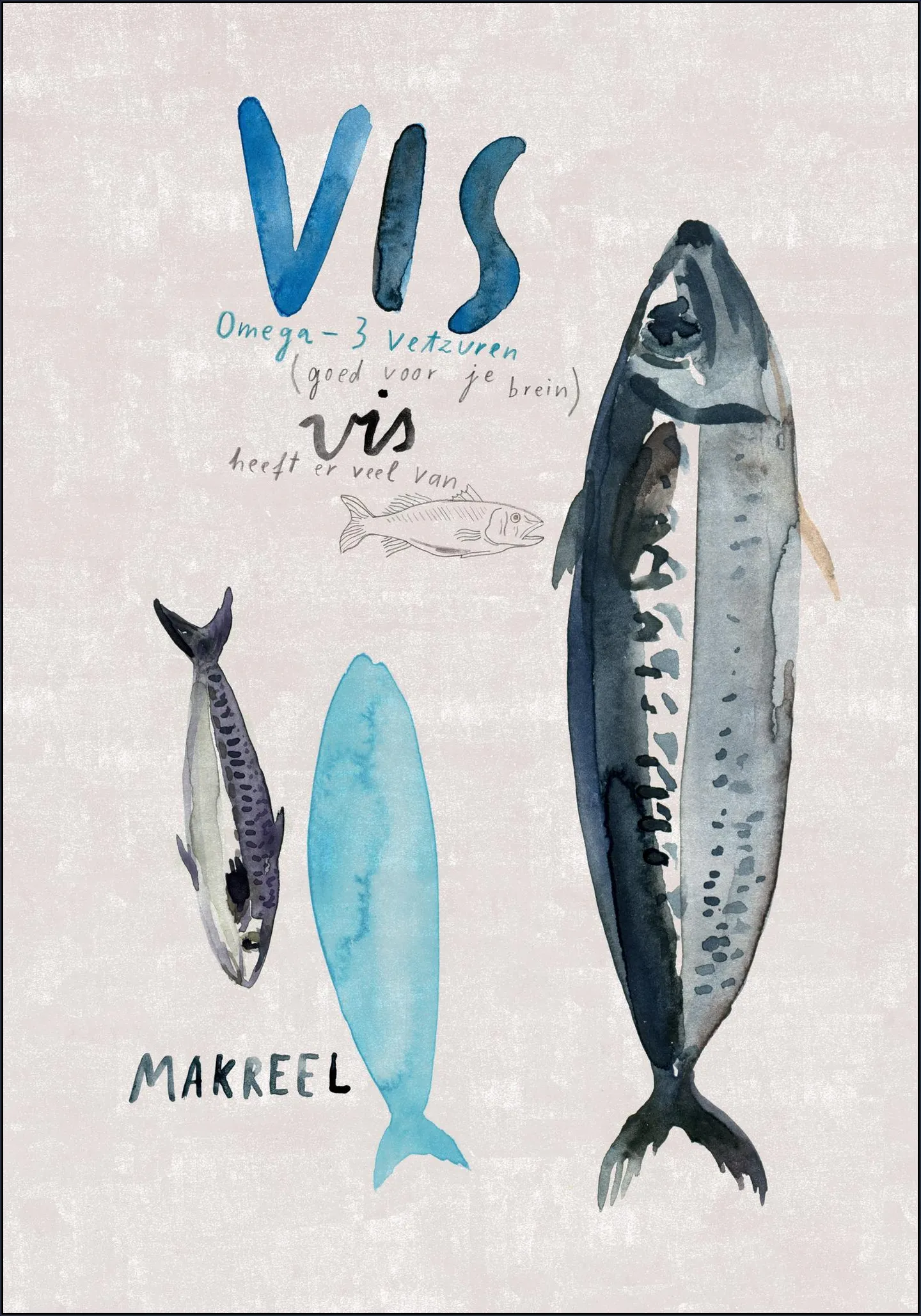 Vis