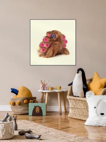Hairy Guinea Pig