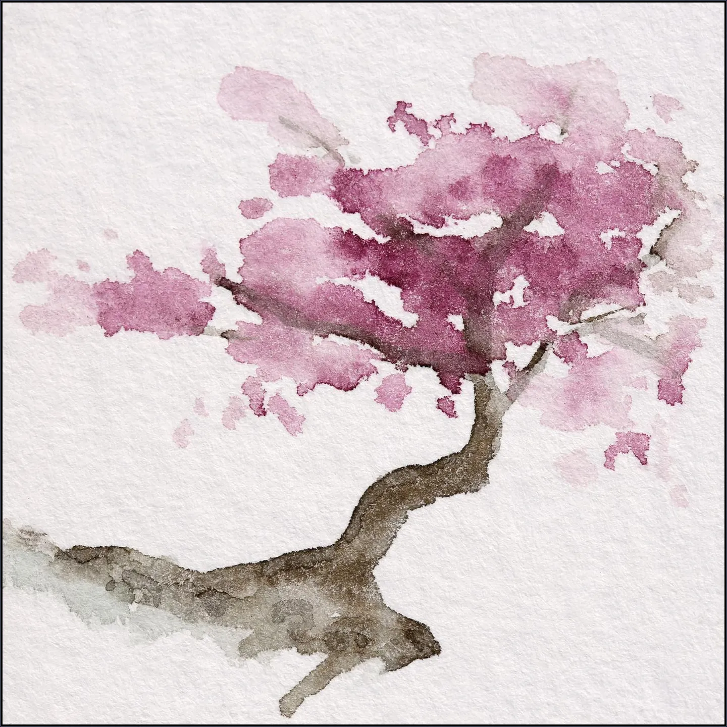 Japanese Tree with Pink Cherry Blossom