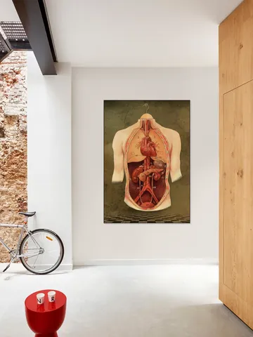 The Anatomy Lesson