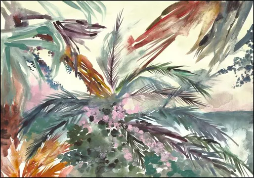 The Tropics 2