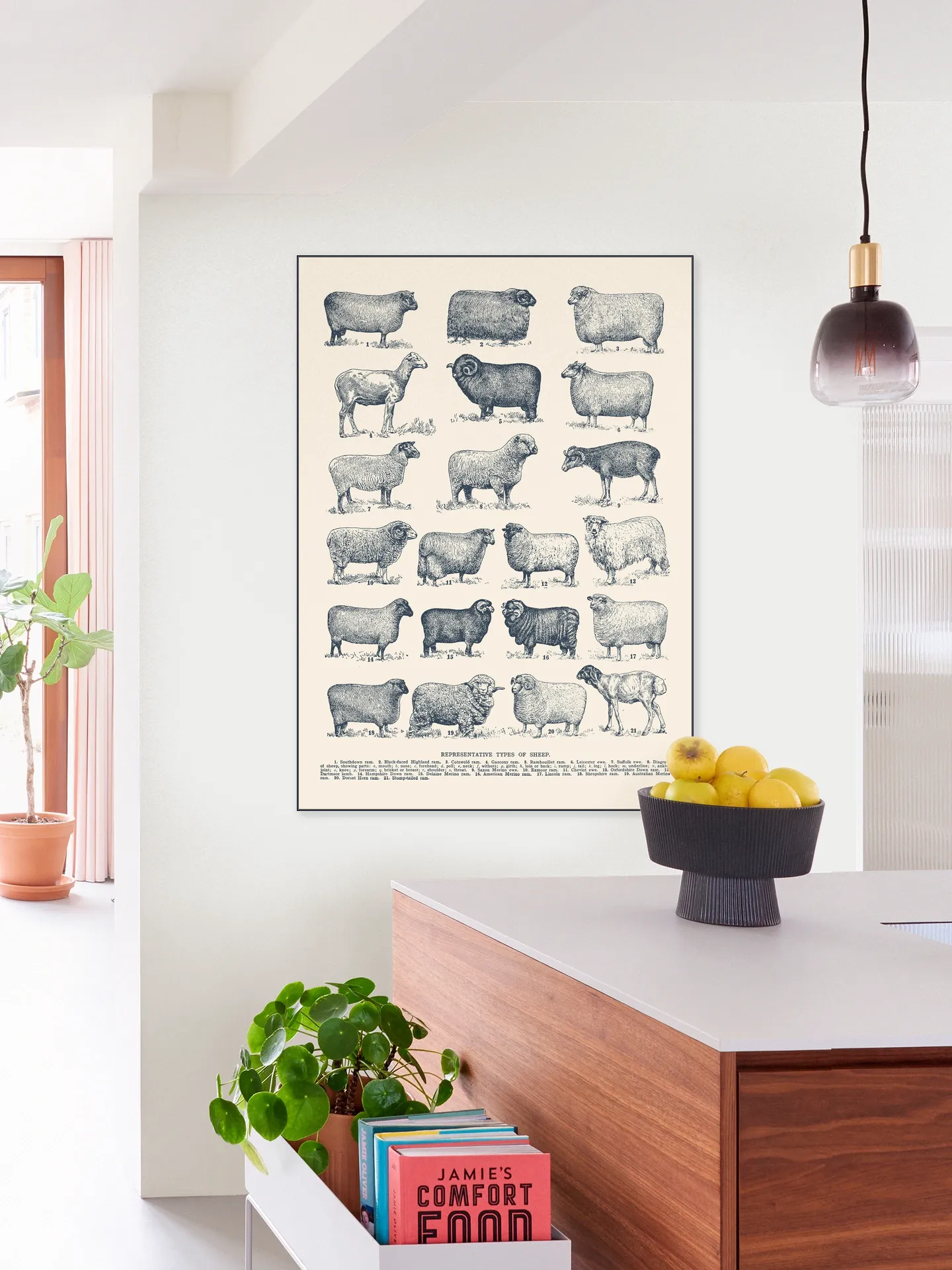 Representative Types of Sheep