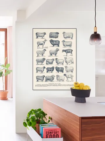 Representative Types of Sheep