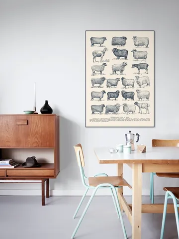 Representative Types of Sheep