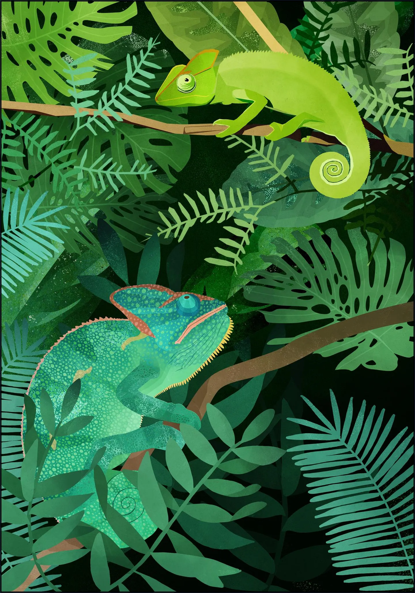Chameleons
