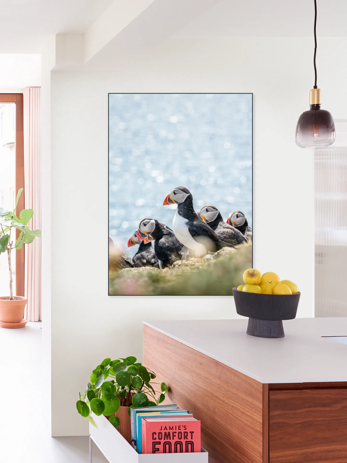 Puffins