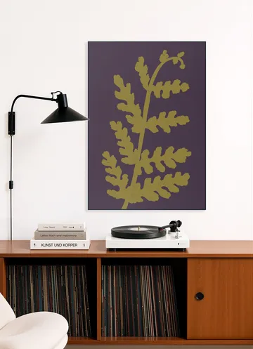 Fern