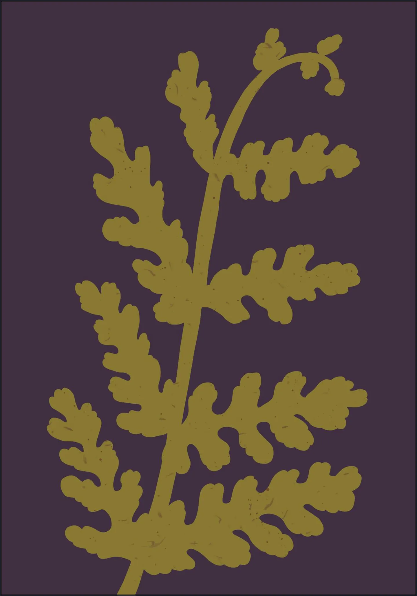 Fern