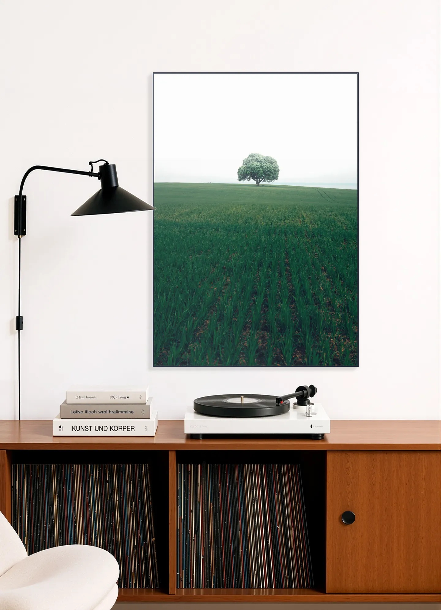 The lonely Oak Tree