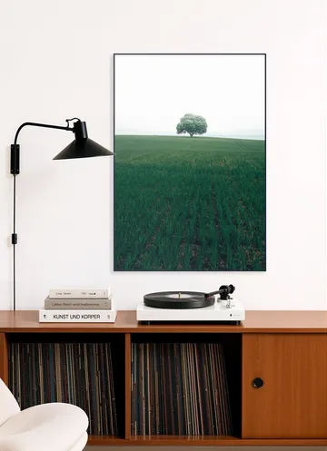 The lonely Oak Tree