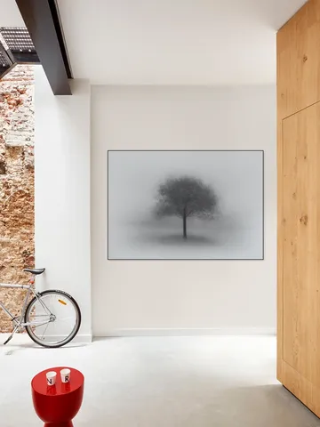 Tree in Fog