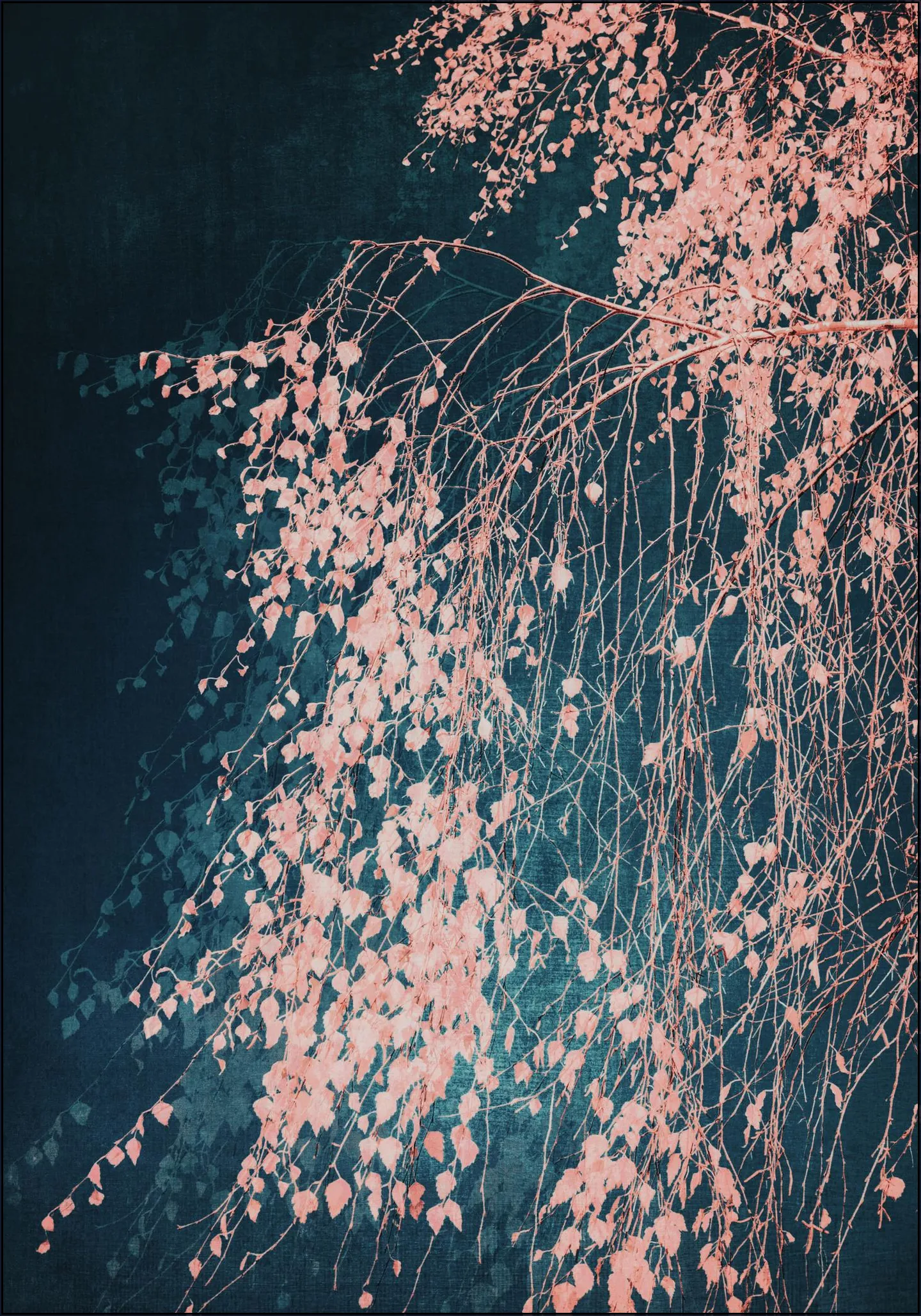 Silver Birch Tree pink