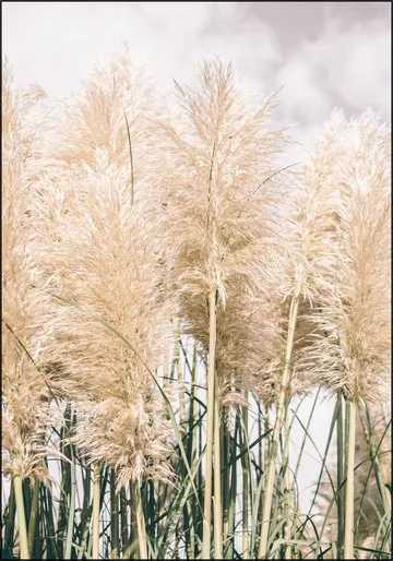 Boho Palm Grass