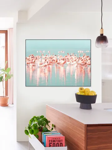 Flamingos