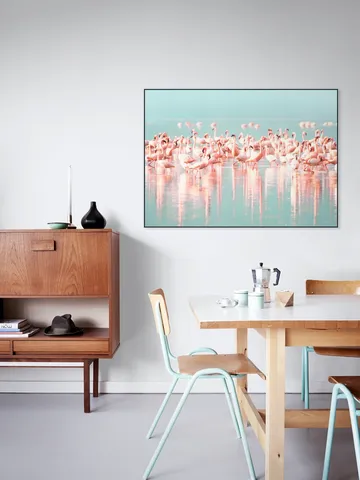 Flamingos