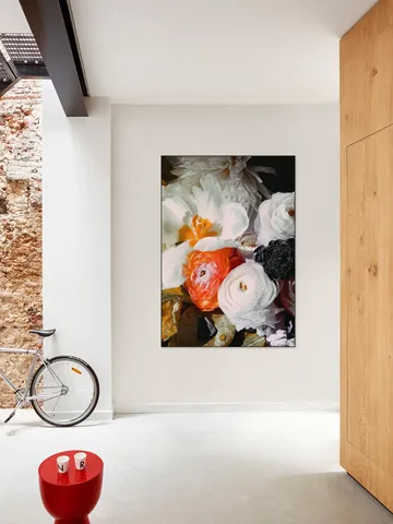 Ranunculus 10