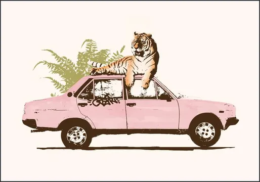 Tiger on Car