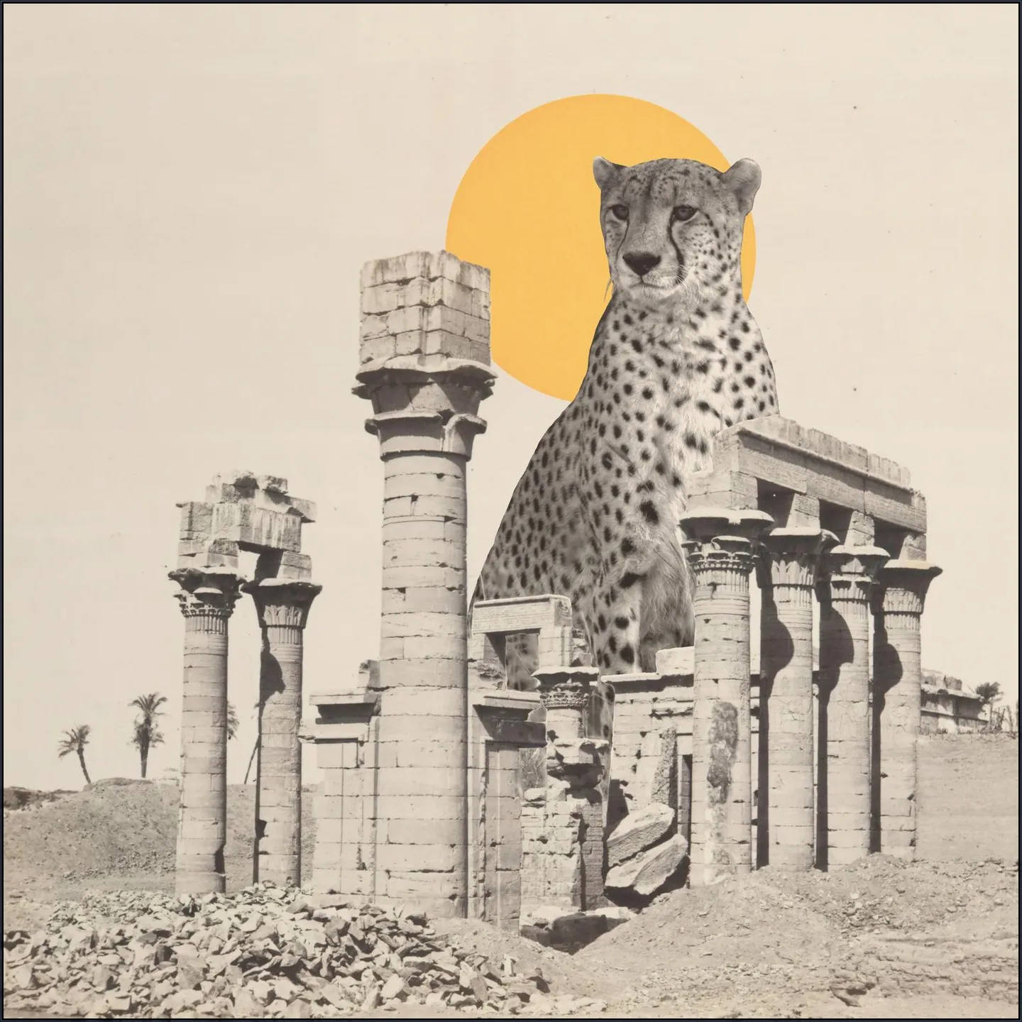 Giant Cheetah in Ruins