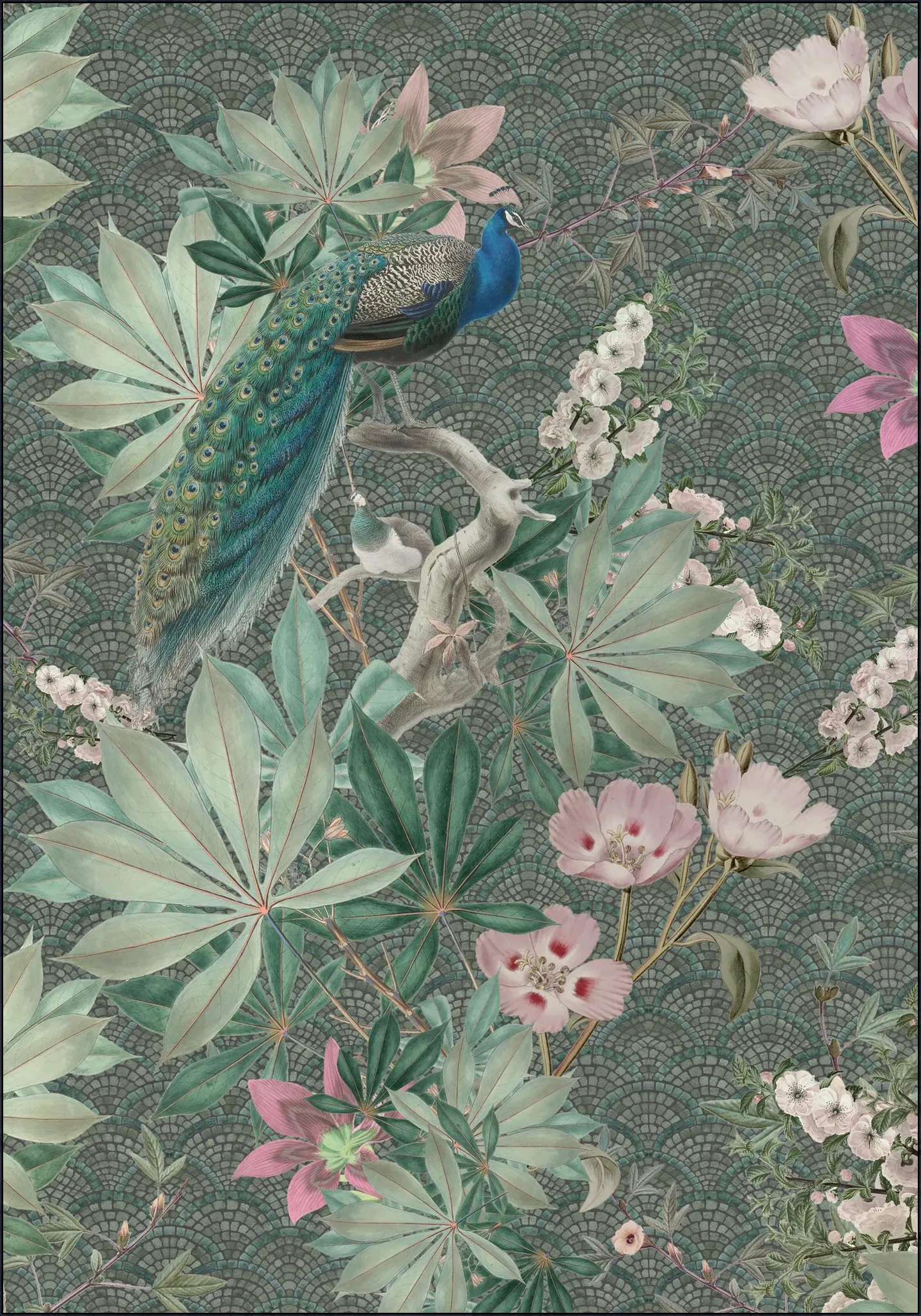 Botanical Garden Peacock