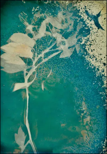 Transformative Teal