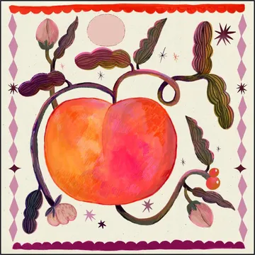Apricot