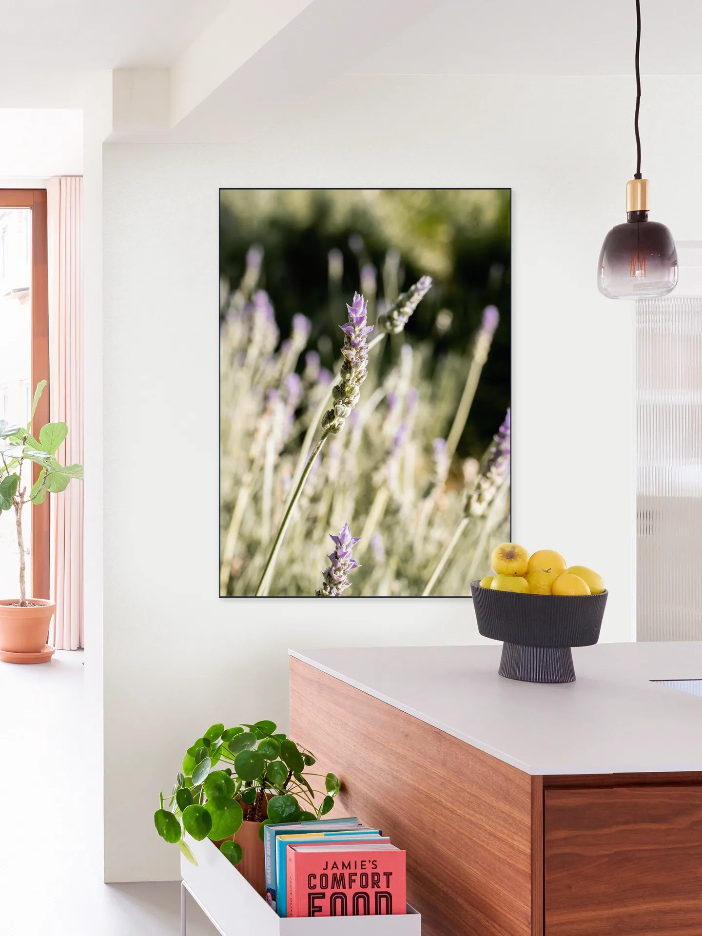 Lavender Fields