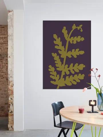 Fern