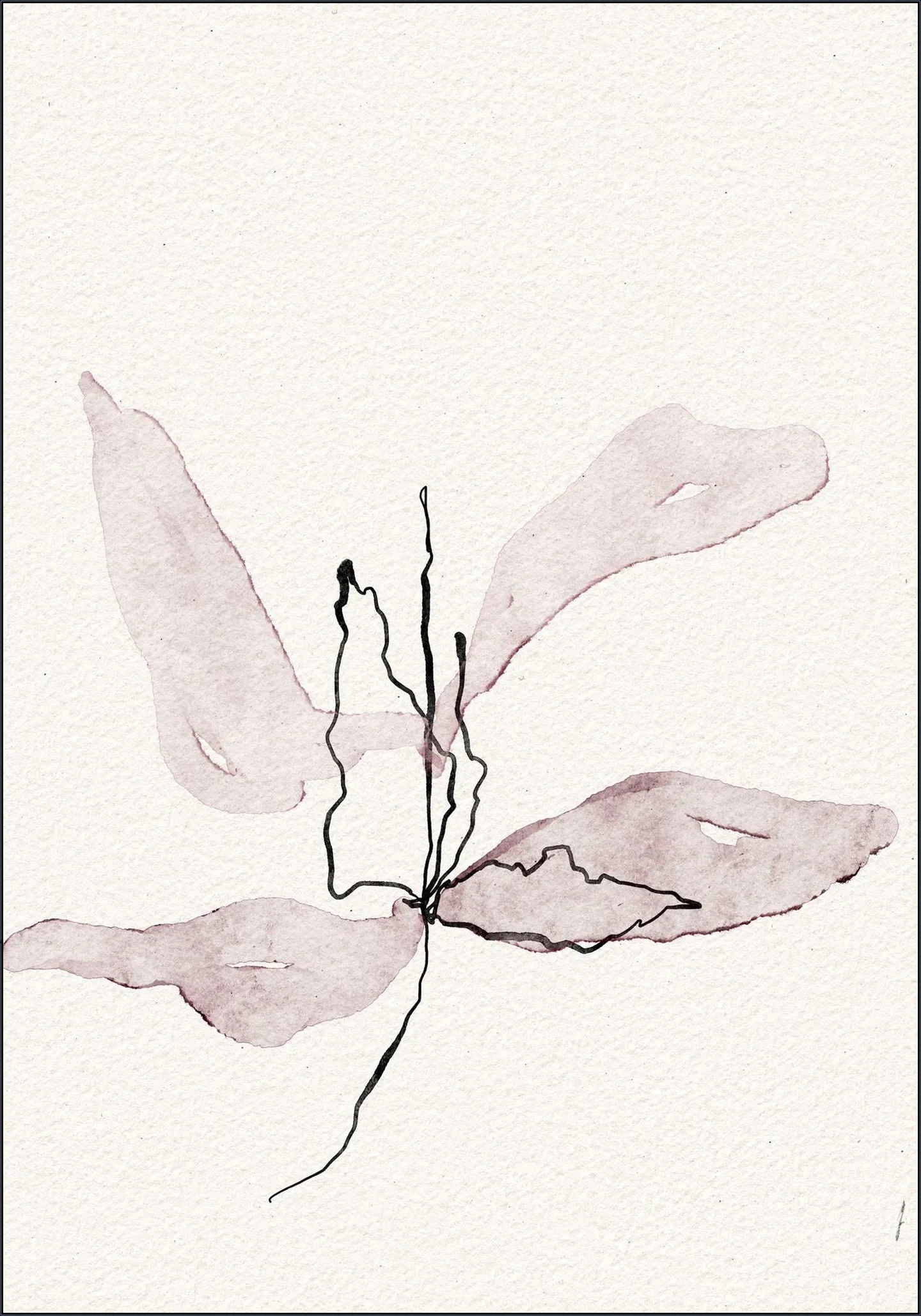 Delicate Petal Dance