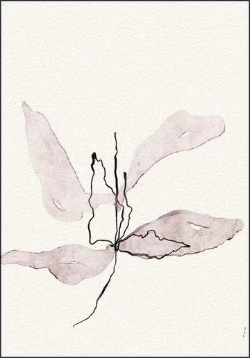Delicate Petal Dance