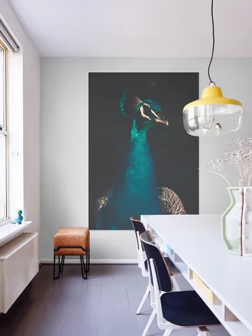 Peacock and Proud