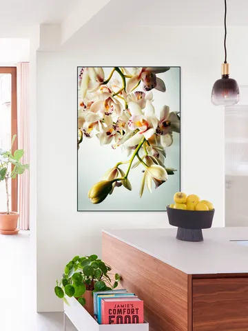 Tiny Orchids